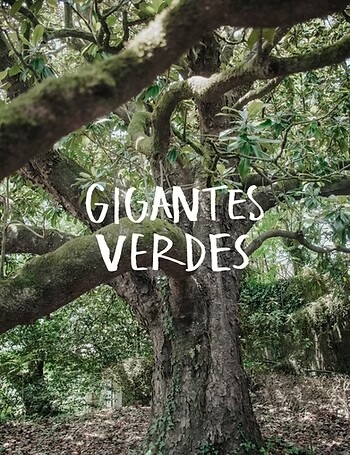 PROJETO GIGANTES VERDES CHEGA A VALONGO