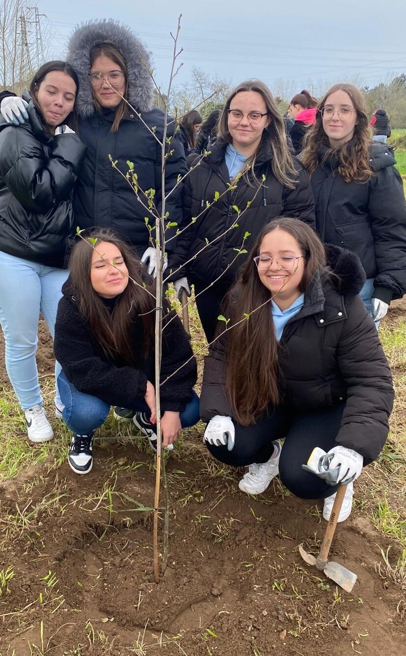 Entre janeiro e março, as nossas serras e rios receberam mais 4.424 árvores nativas
