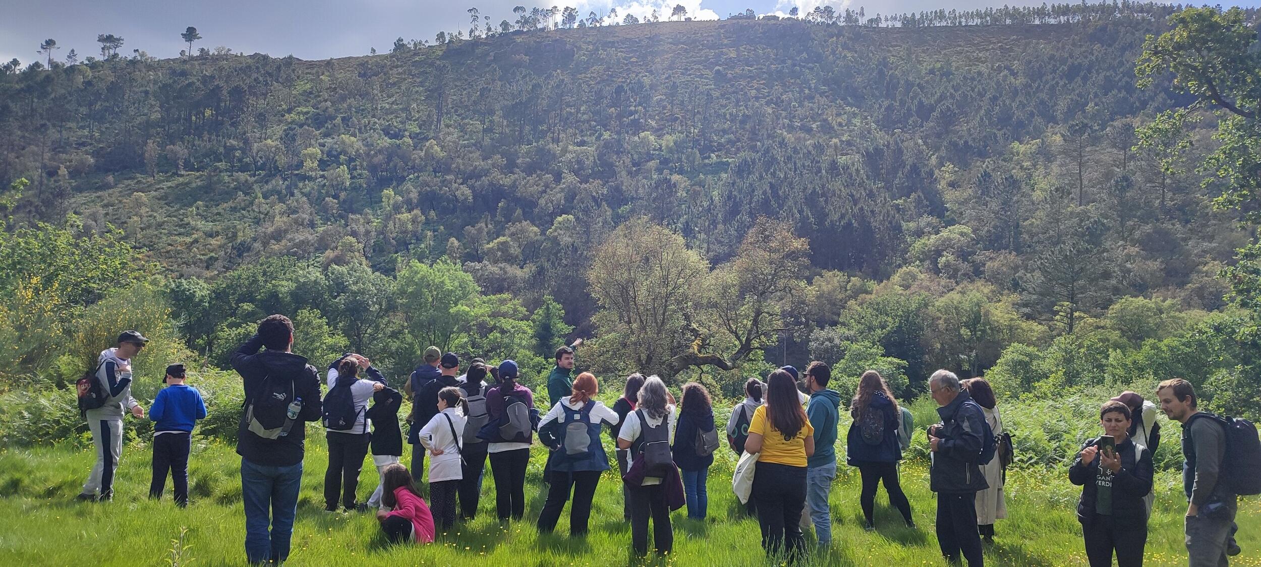 Passeio interpretativo Gigantes Verdes
