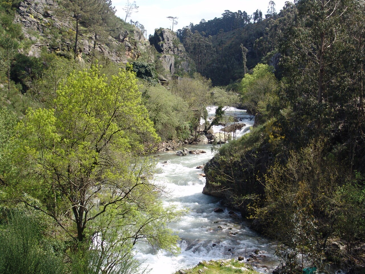 Valongo aprova Plano Estratégico de Reabilitação das Linhas de Água – PERLA
