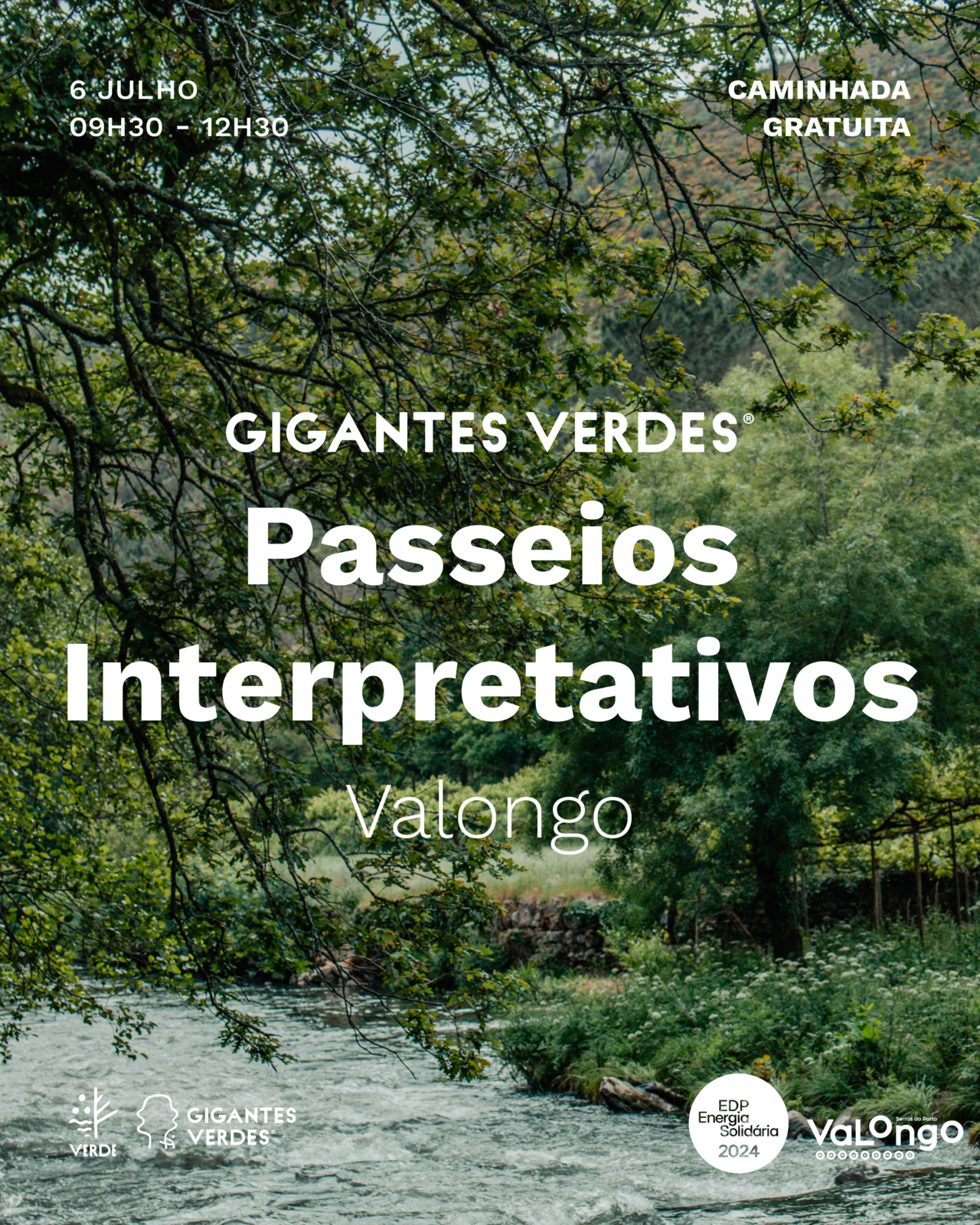 Passeio Interpretativo Gigantes Verdes | 6 de julho - Alfena