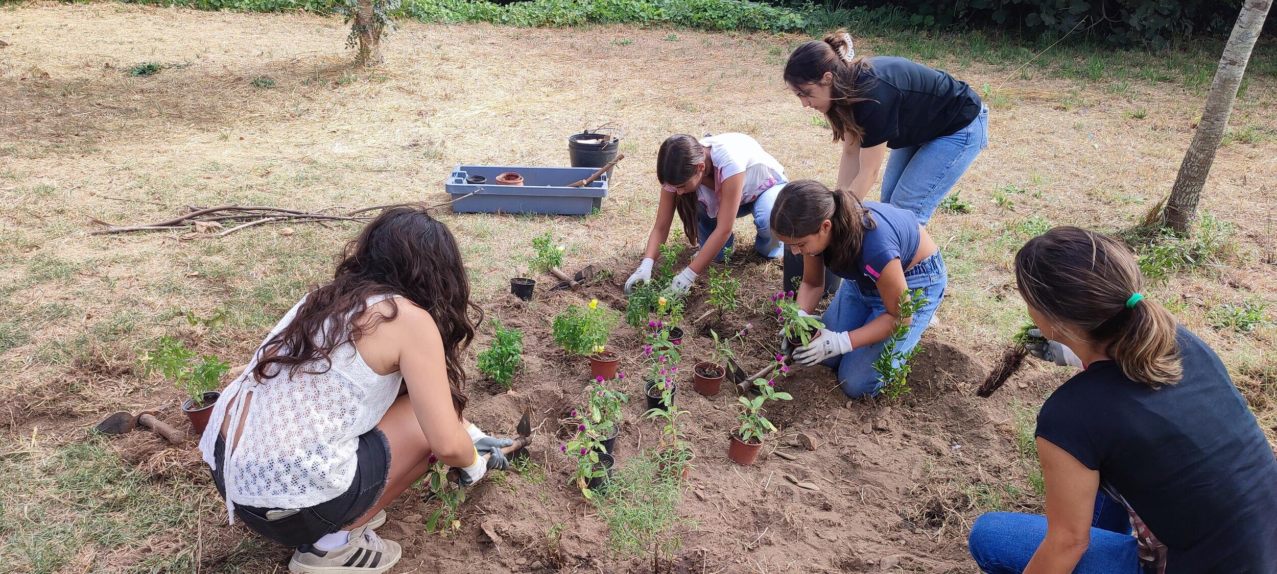 Jovens voluntários ajudam a construir abrigos de fauna em Alfena