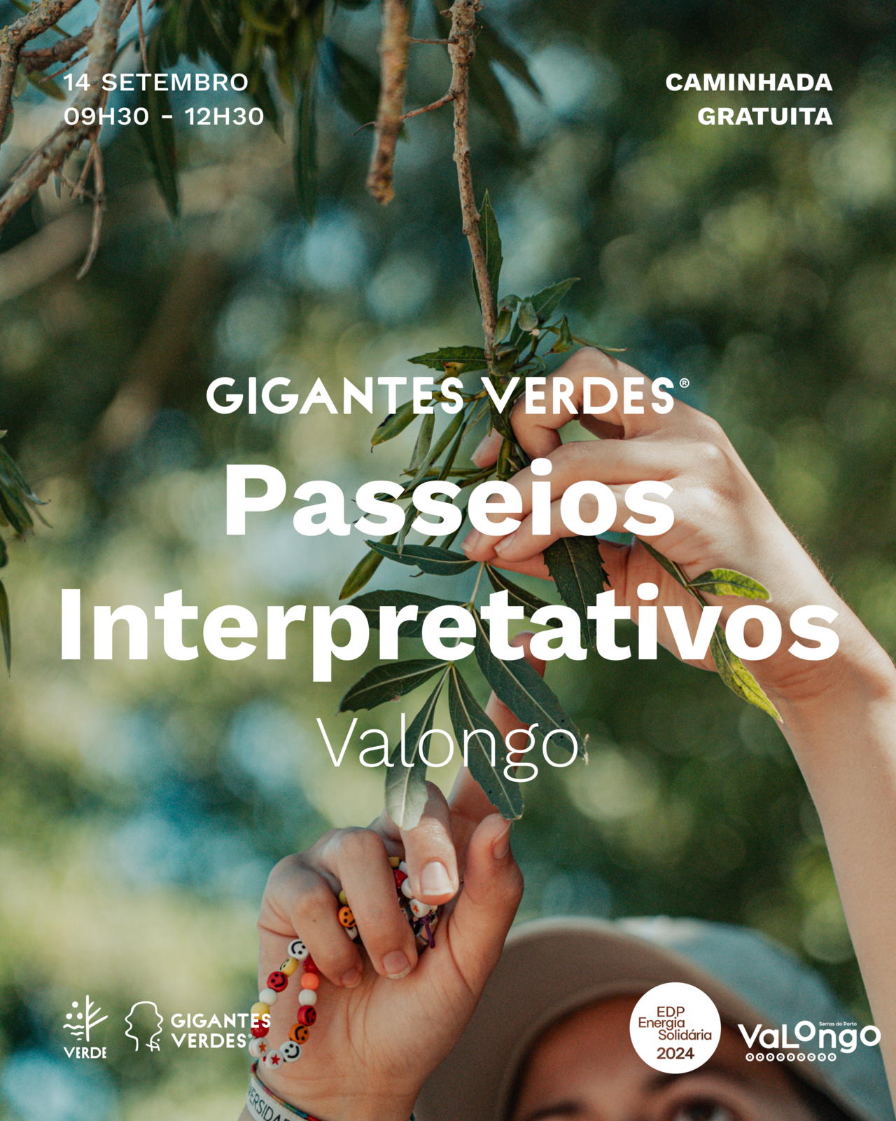 Passeio interpretativo Gigantes Verdes - 14 de setembro