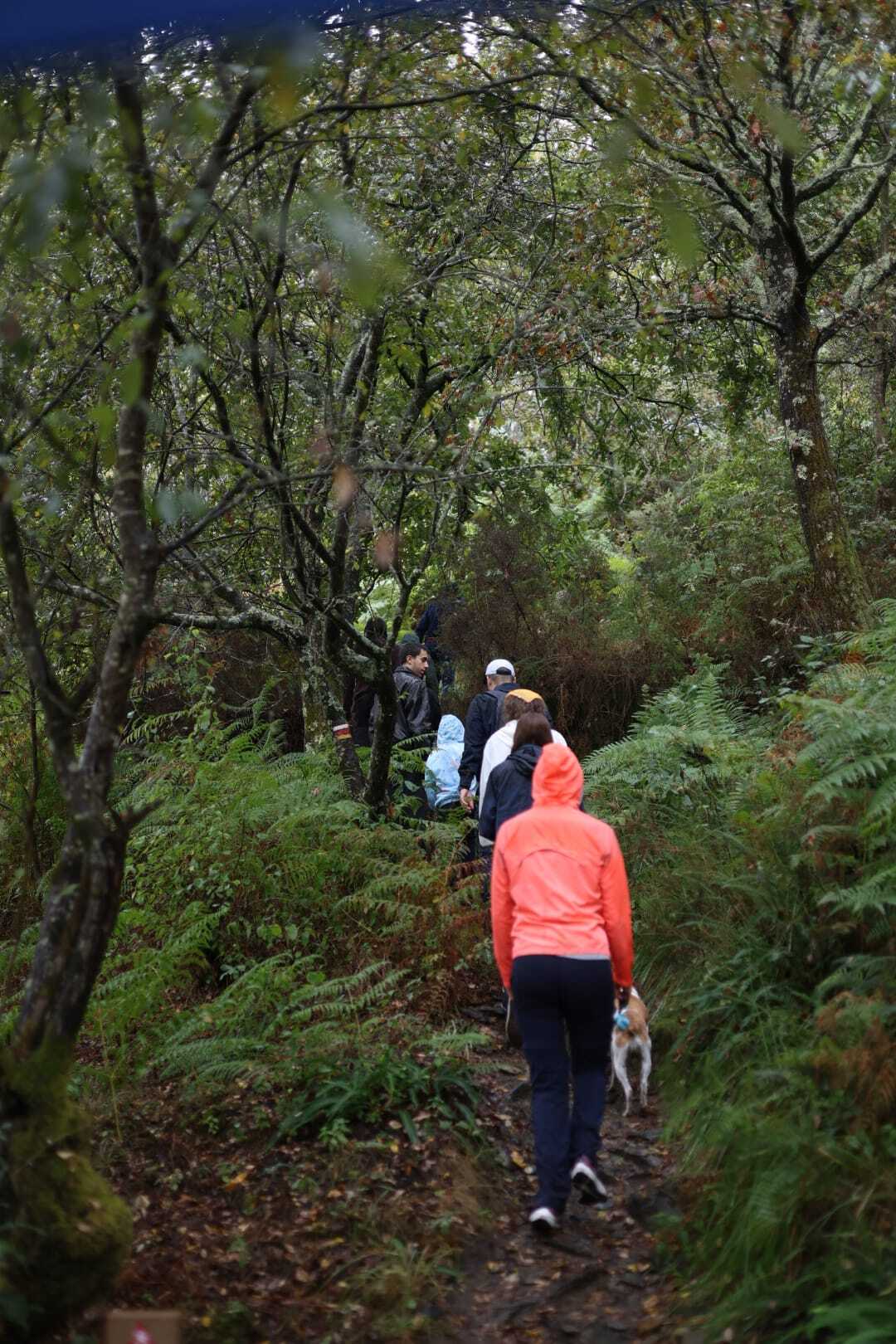 Caminhada "Em Busca da Fauna"
