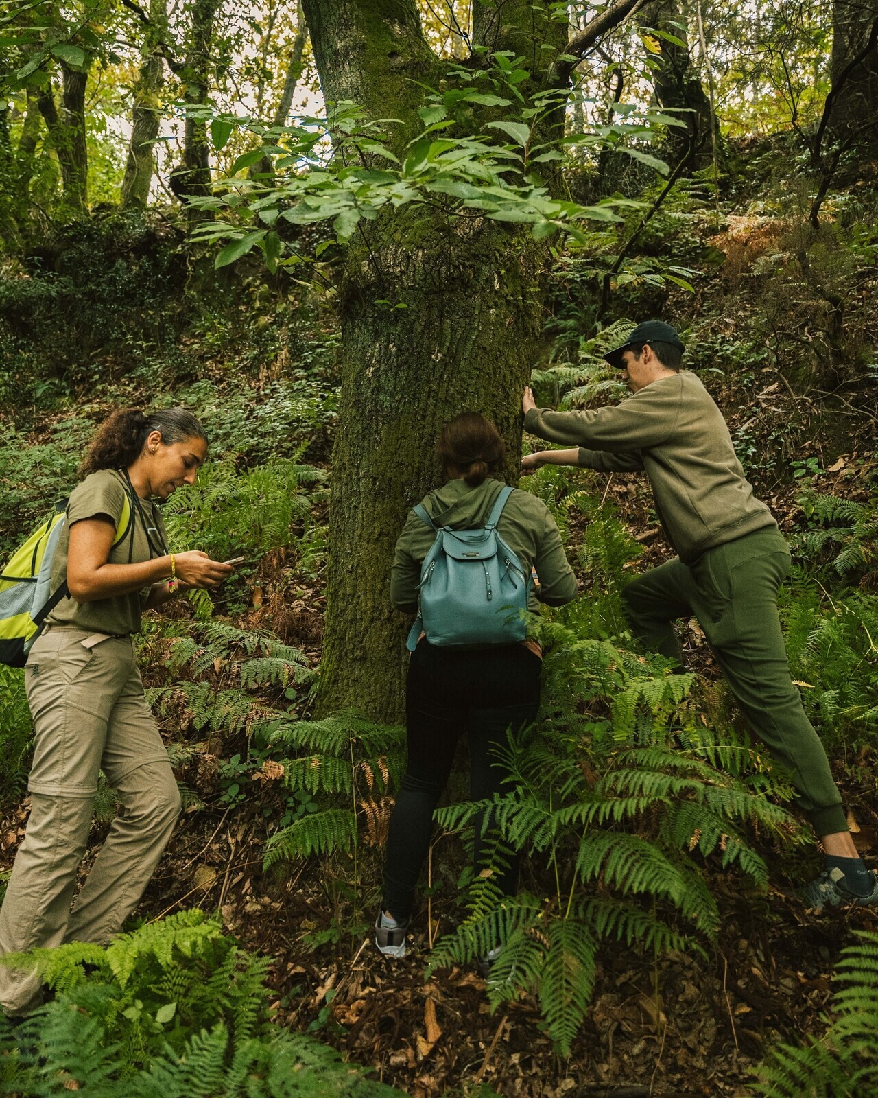 3.ª Caminhada Gigantes Verdes