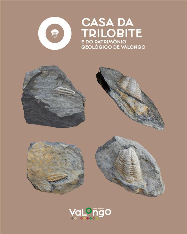 15 de outubro - Dia Nacional do Fóssil 